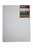 Холст на подрамнике грунтованный Реалистик СПЕКТР мелкозернистый 50x70 см