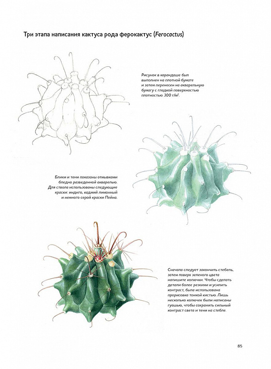 Книга "Ботаническая иллюстрация: руководство по рисованию от Королевских ботанических садов"