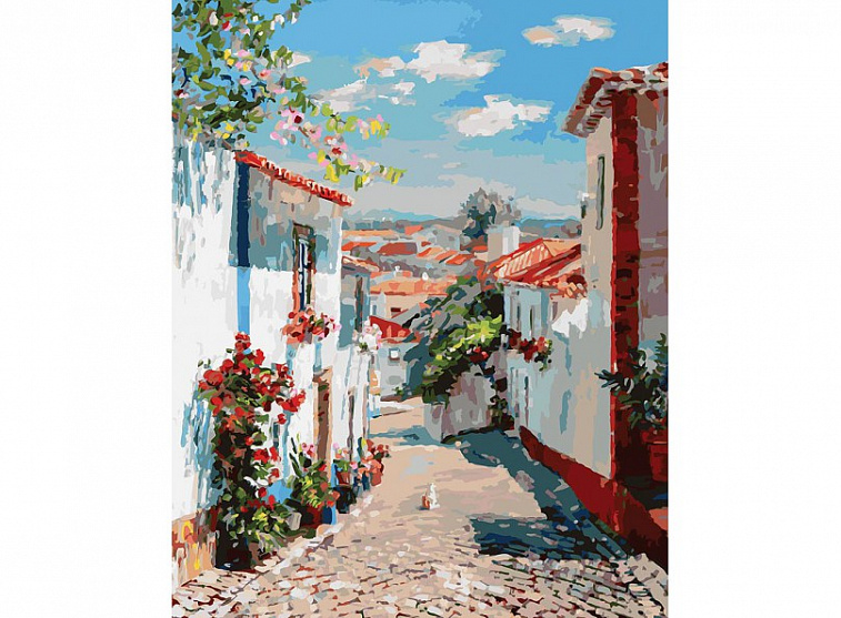 Набор для живописи по номерам 40х50 см "Улочка с португальском поселке"    