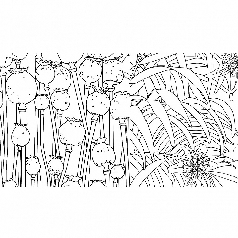 Раскраска-антистресс для творчества и вдохновения "Зачарованный лес. Летняя серия" 