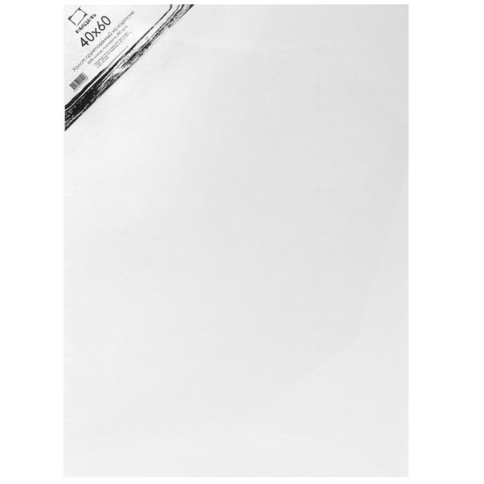 Холст грунтованный на картоне Малевичъ 40x60 см каталог выставки голоса воображаемого музея андре мальро