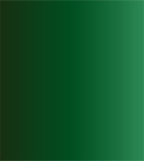 Акварель ShinHanart PWC extra fine 15 мл №570 Кадмий зеленый темный