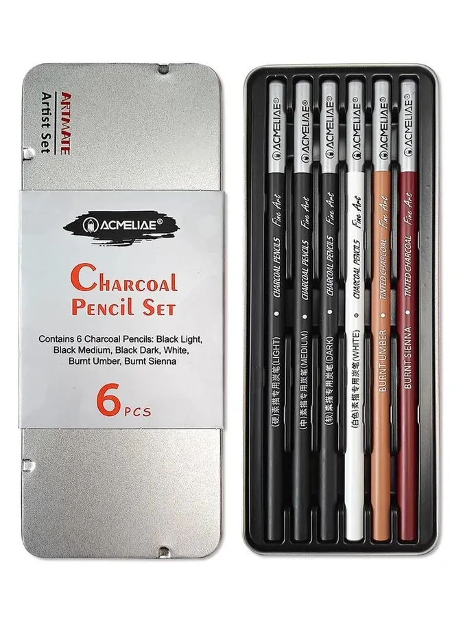 Набор карандашей угольных Acmeliae 6 шт в металлическом футляре 389₽