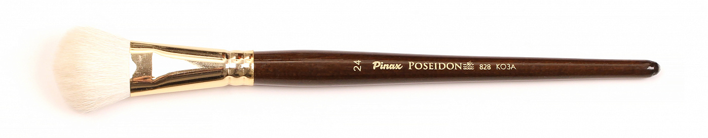     24  Pinax Poseidon 828  