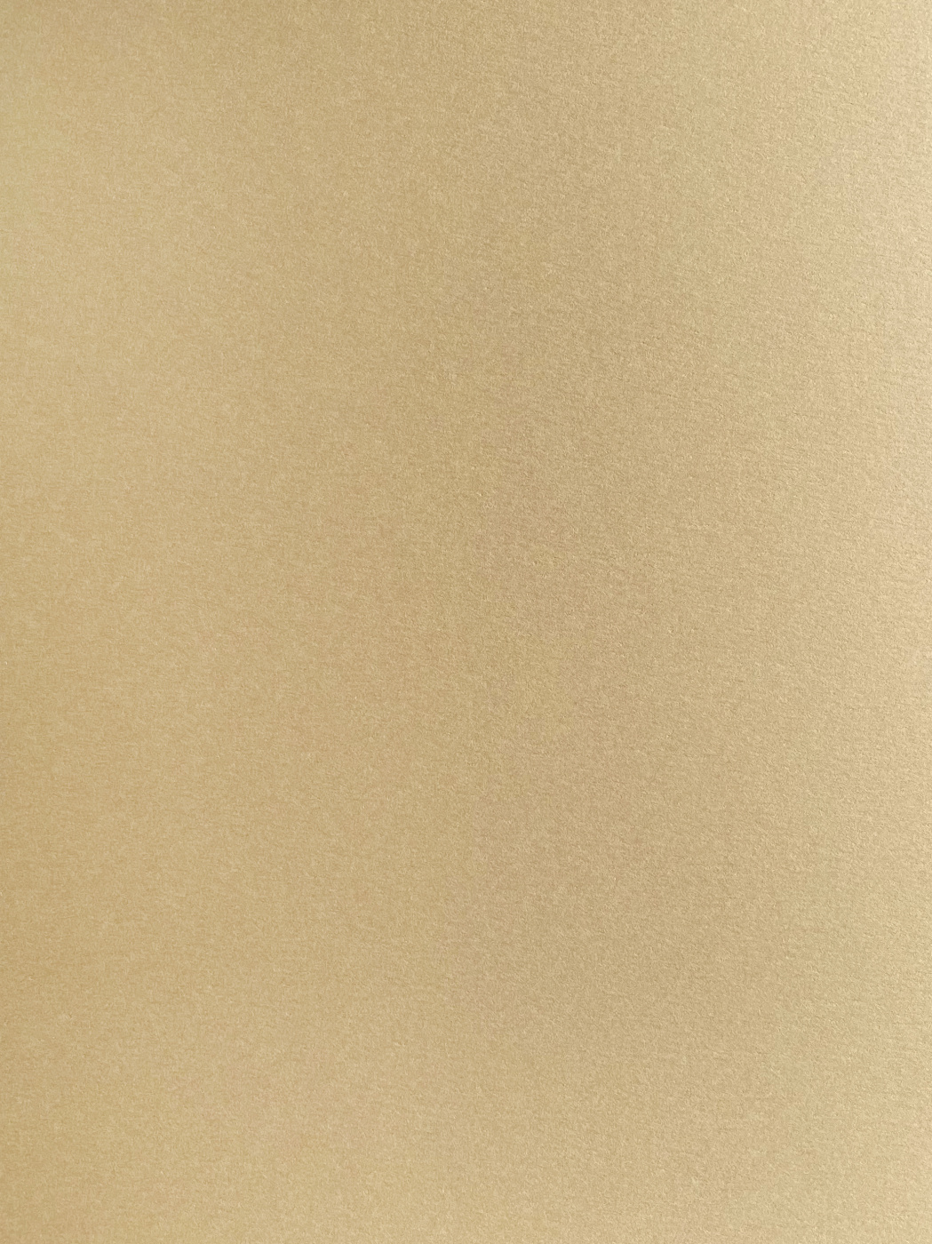 Бумага для пастели Малевичъ GrafArt А4 270 г, бежевая когтеточка пушок ряпушка пушок ковролин бежевая лапа греча