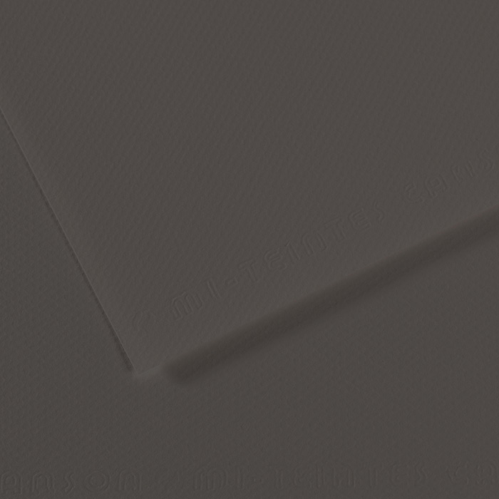 Бумага для пастели Canson MI-TEINTES 50x65 см 160 г 184 Угольный 267₽