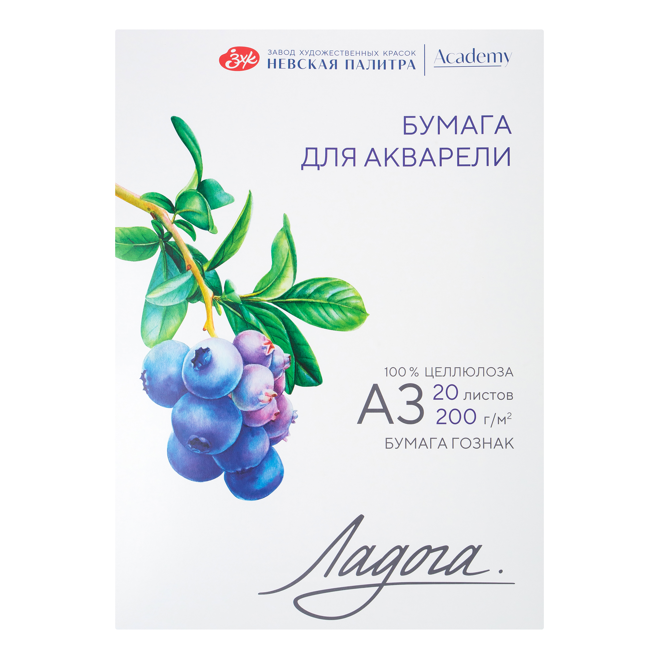 Папка для акварели quotЛадога quot А3 20 л 200 г 100 целлюлоза среднее зерно 474₽