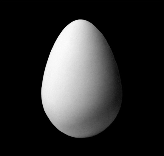 Гипс Яйцо 628₽