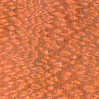 Шпон Лайсвуд 13,5х29,5 см в листах ТАТ-SHP-Лайсвуд - фото 1