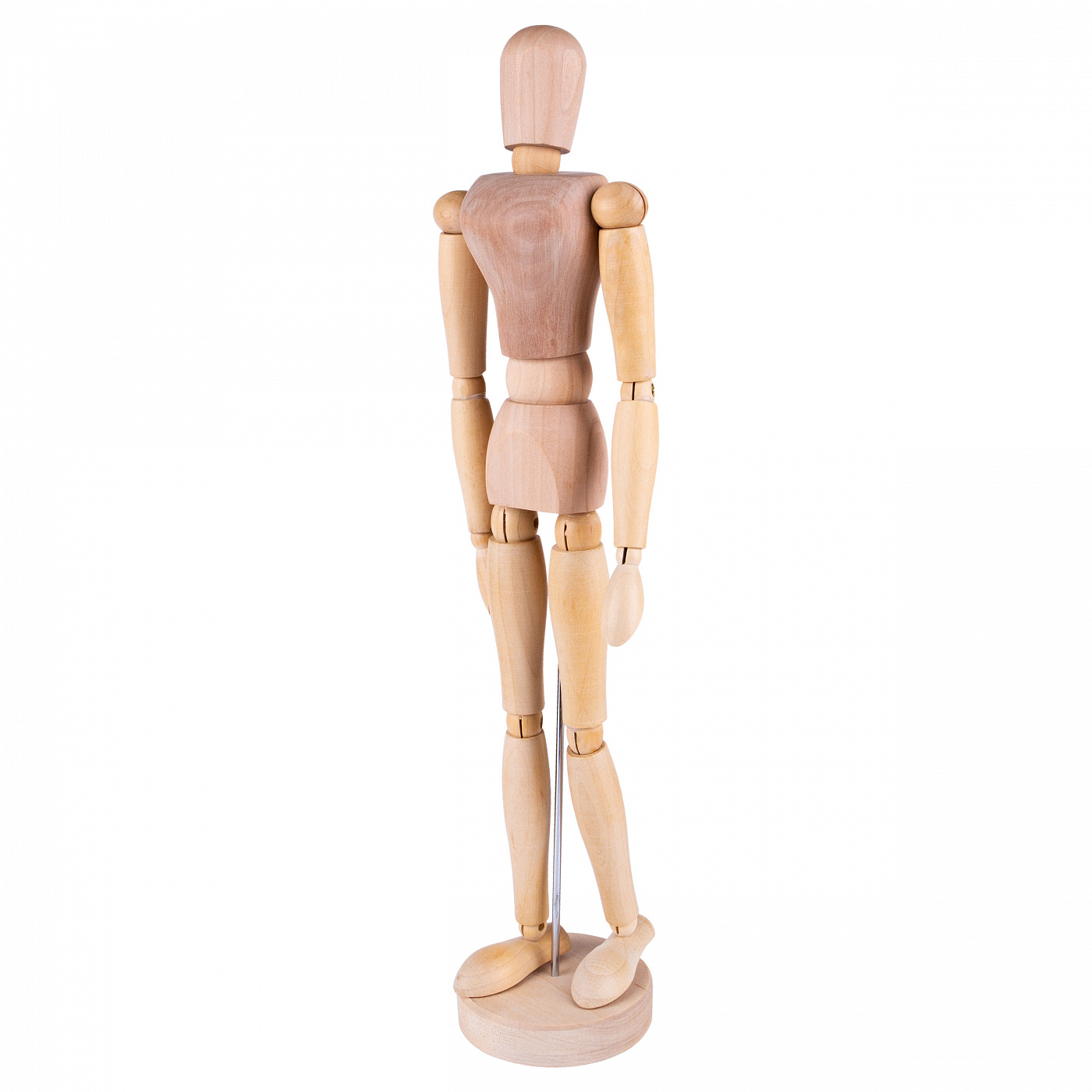 Манекен человека 40 см, женский анатомия человека рус лат атл 2 е изд