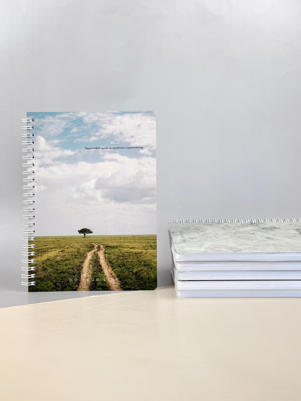Планер ежедневник недатированный DoYourLine Путь А5 166 страниц 814₽