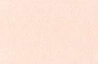 Чернила на спиртовой основе Sketchmarker 20 мл Цвет Розовое шампанское технология лекарственных форм примеры экстемпоральной рецептуры на основе старого аптечного блокнота учебное пособие