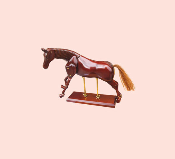 Манекен лошади 20 см лошади иллюстрированный гид
