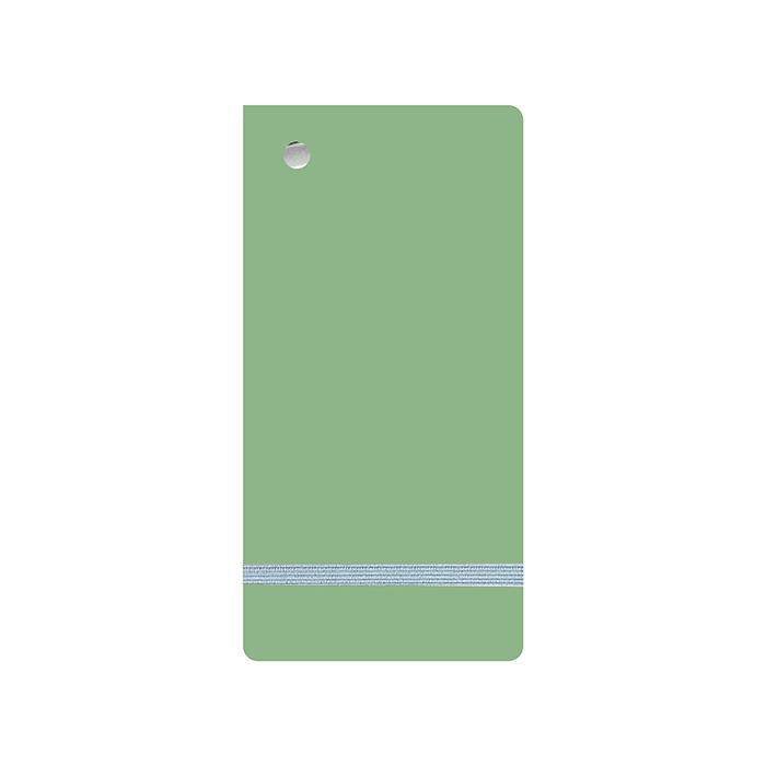 Палитра-веер для маркеров Зеленый чай 8х17 см, гладкая бумага 160г, 60л с резинкой для крепления