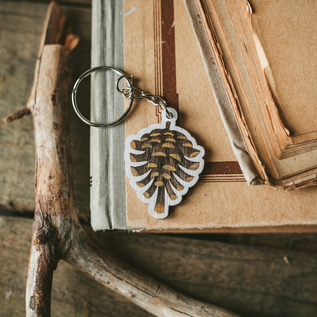 Брелок Дворникова А Шишка 396₽