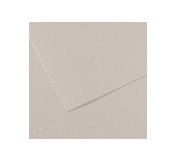 Бумага для пастели Canson "MI-TEINTES" 50x65 см 160 г №120 жемчужно-серый