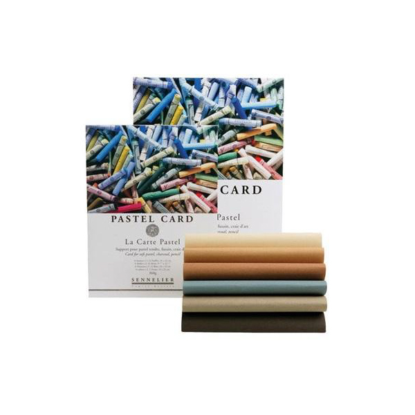 Альбом-склейка для пастели Sennelier "Pastel Card" 39,5х59,5  см 12 л 360 г, 6 цветов