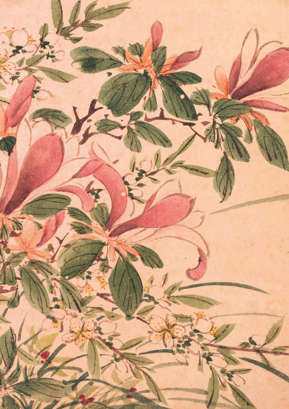 Тетрадь Садовые цветы Барбарис 275₽