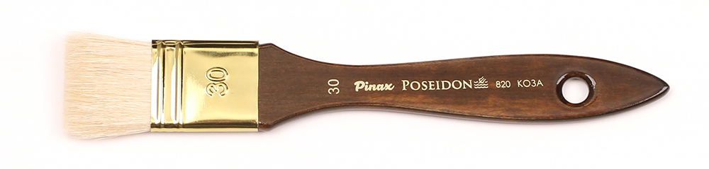    30  Pinax Poseidon 820  