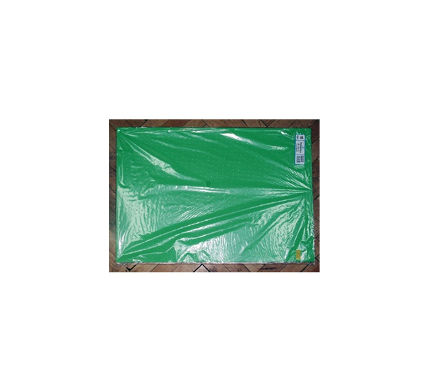 Картон плакатный Werola 48х68 см 400 г зелёный
