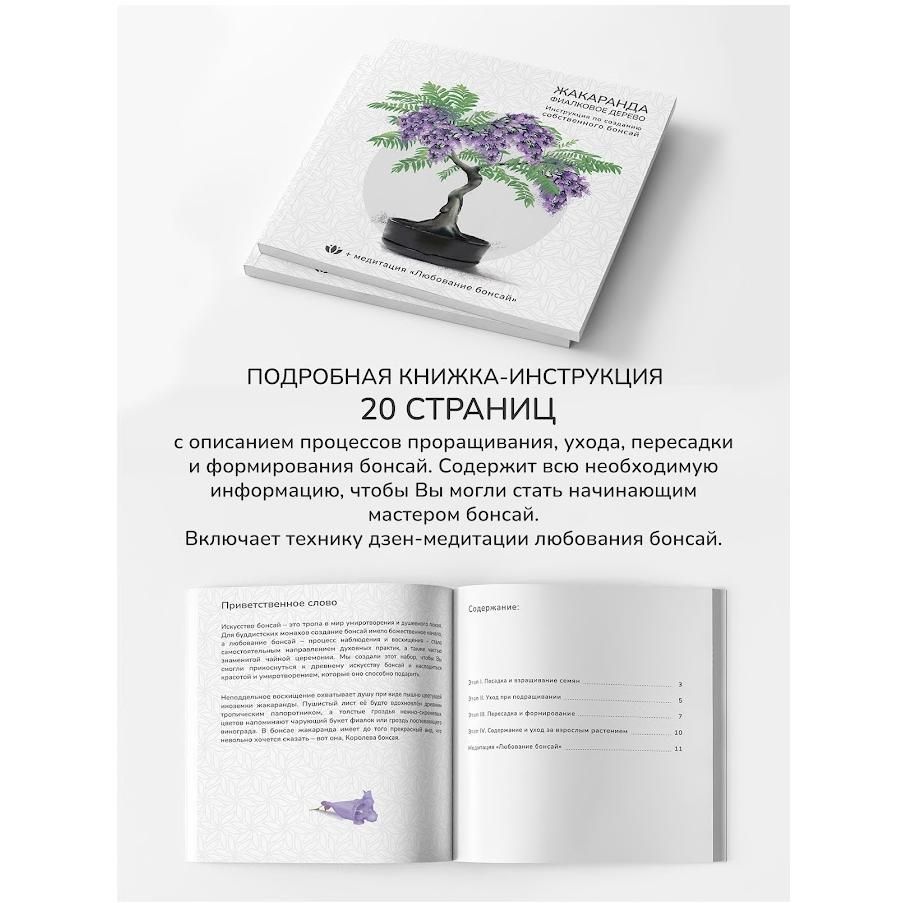 Бонсай из винограда с начала. Обрезка осенью 5 часть | БОНСАЙ с НАЧАЛА 65 | Дзен