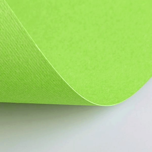 Бумага для пастели Fabriano Cartacrea 50x70 см 220 г зеленый горох 200₽