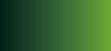 Акварель ShinHanart PRO Water Color 12 мл №416 Травяной зеленый