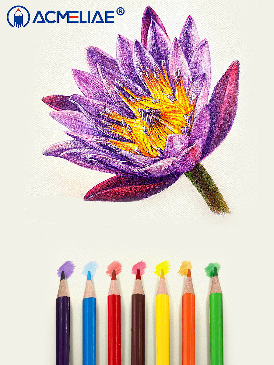 Набор карандашей стираемых цветных Acmeliae 24 цв, картонном футляре Acm-43739 - фото 5