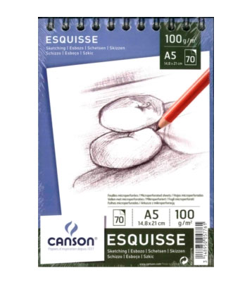 Альбом для графики на спирали Canson 