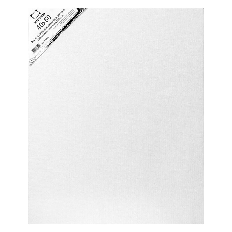 Холст грунтованный на картоне Малевичъ 40x50 см каталог выставки дагеротип автохром полароид 1 1