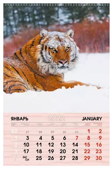 Календарь на 2022 г. "Символ года 4", 280х435 мм