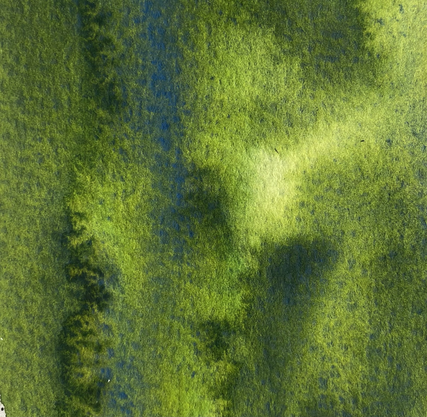 Акварель Handy кювета 2 мл Лесная чаща 402₽