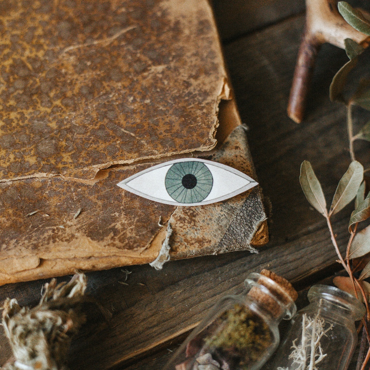 Деревянная брошка Дворникова А Глаз 396₽