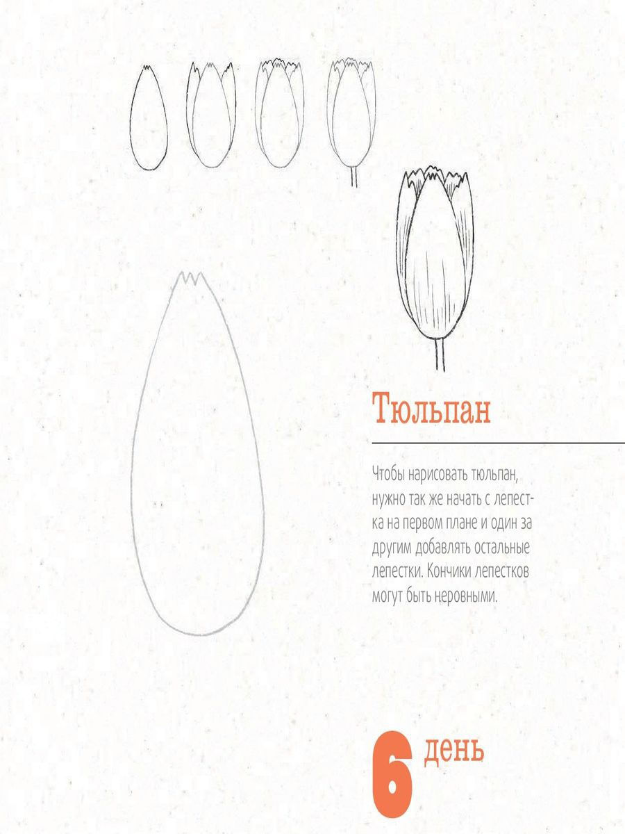 Как рисовать аниме лицо?