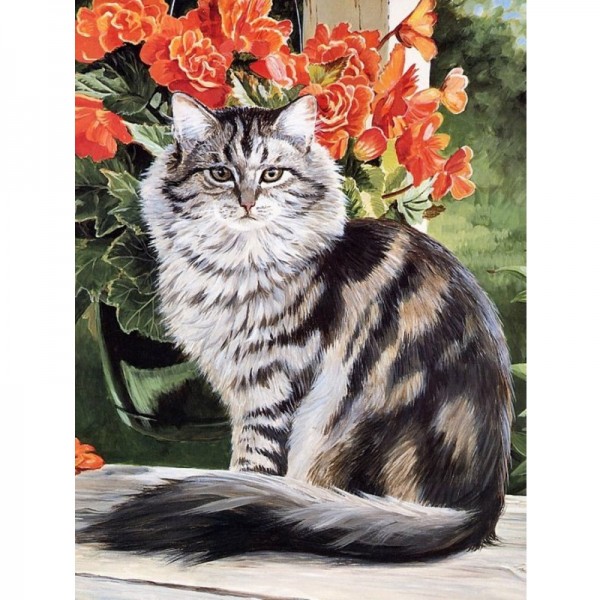 Женщина-кошка, алмазная мозаика на подрамнике 40х50см 28цв полная выкладка PO