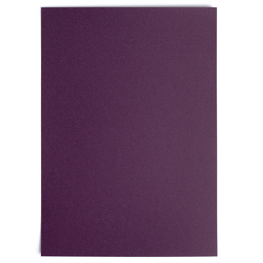 Папка с бумагой для пастели Малевичъ А4, фиолетовая бумага для скрапбукинга двусторонняя ы и листья крафт плотность 180 гр 30 5х32 см