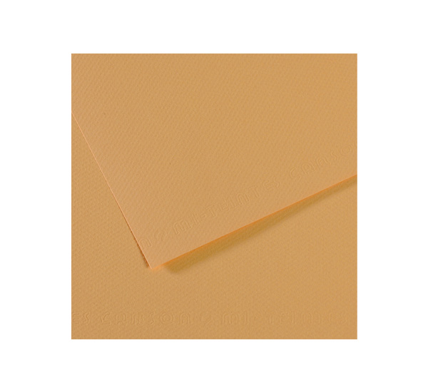 папка для хранения работ canson tendance на резинках 61 81 см крафт коричневая Бумага для пастели Canson 