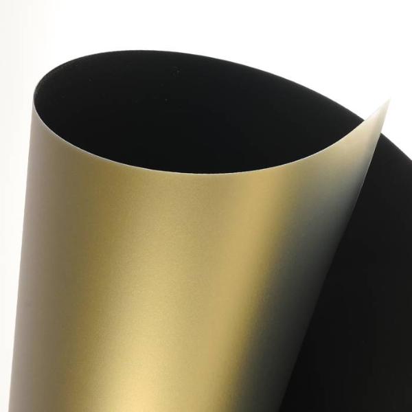 Пластик Canson 50х70 см 455 г бронзовый 475₽