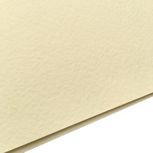 Картон цветной тонированный 420х594 мм, 200 гр, слоновая кость альбом для рисования 20л а4 белый кролик скрепка мел картон выб лак