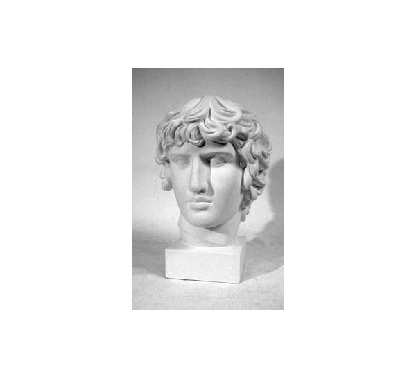 Гипс Голова Антиноя (бол.) h.мм база академического рисунка фигура человека голова портрет и капитель
