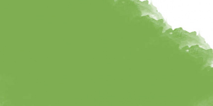 Пастель масляная профессиональная Mungyo, цвет №306 Темный лимонный лайм сопротивление материалов пособие для решения контрольных работ студентов заочников учебное пособие