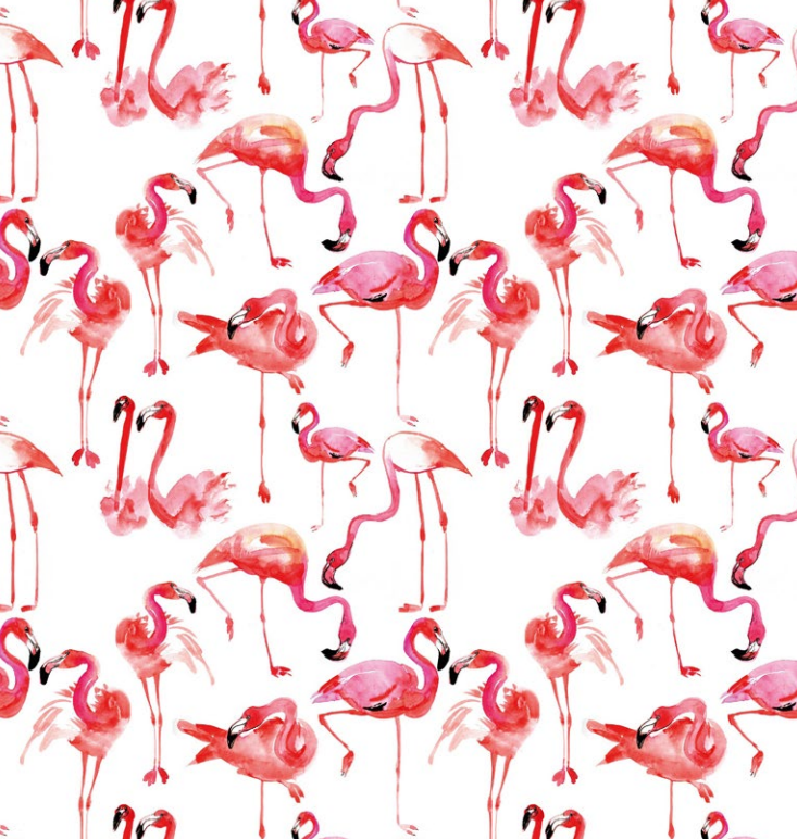 Карты фламинго. Фламинго на бумаге. Подарочная бумага с розовым Фламинго. A4 бумага Flamingo. Cards for you and me упаковочная бумага.