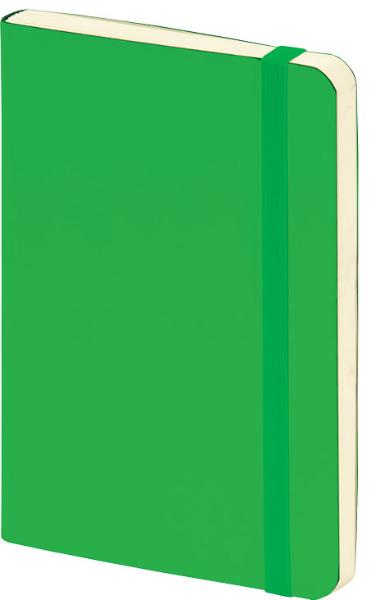 Блокнот в клетку на резинку Brunnen 10,5х15 см 80 г 96 л, кремовый блок, зеленая обложка BRN-55656-52 - фото 1
