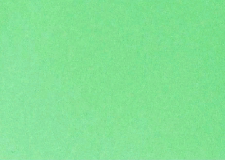 Бумага цветная Folia А4 300 г зеленый изумруд 50₽