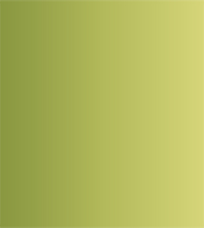 Акварель ShinHanart PWC extra fine 15 мл №561 Зеленая земля желтый оттенок творчество и объективация бердяев н а