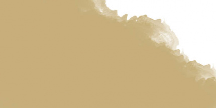 Пастель масляная профессиональная Mungyo, цвет №313 Бежевый