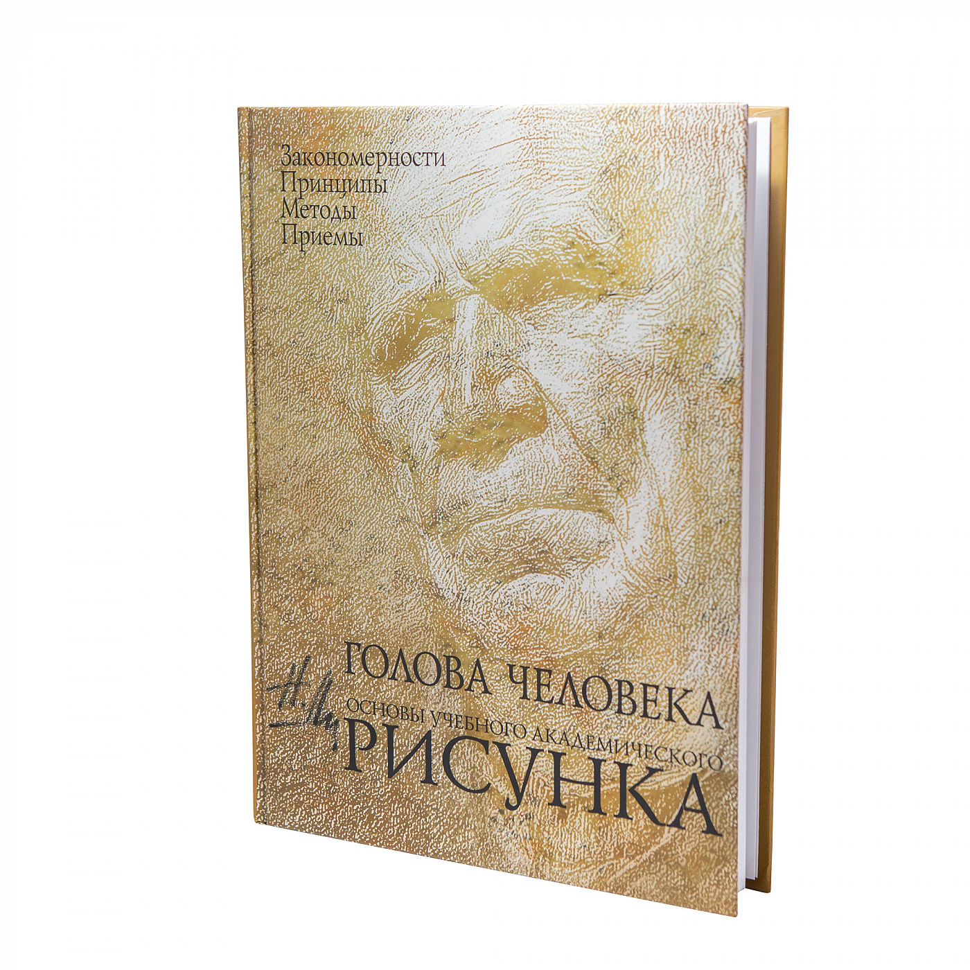 Книжки голова. Голова человека основы учебного академического рисунка. Книга на голове. Книга всему голова. Голова человека книга ли.