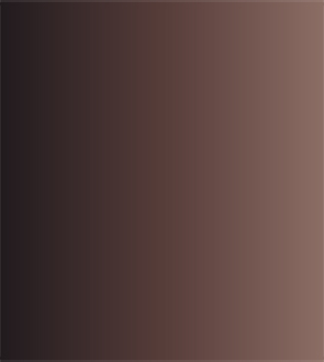 Акварель ShinHanart PWC extra fine 15 мл 680 Ван Дик коричневый 424₽