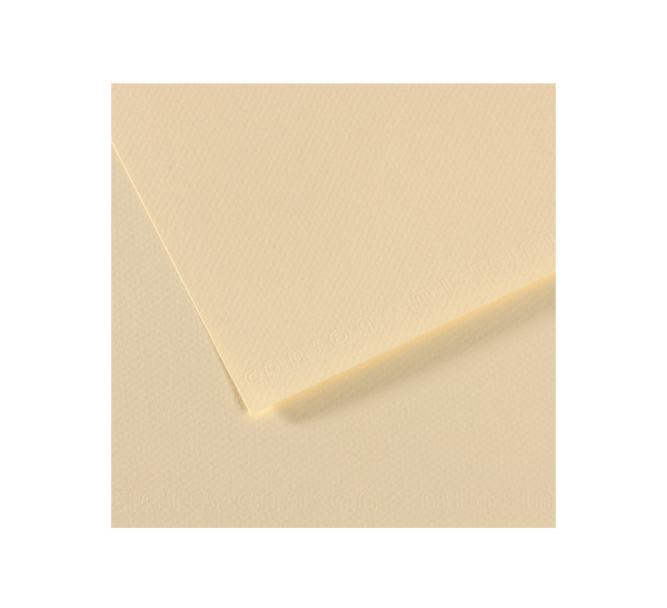папка для хранения работ canson tendance на резинках 61 81 см крафт коричневая Бумага для пастели Canson 