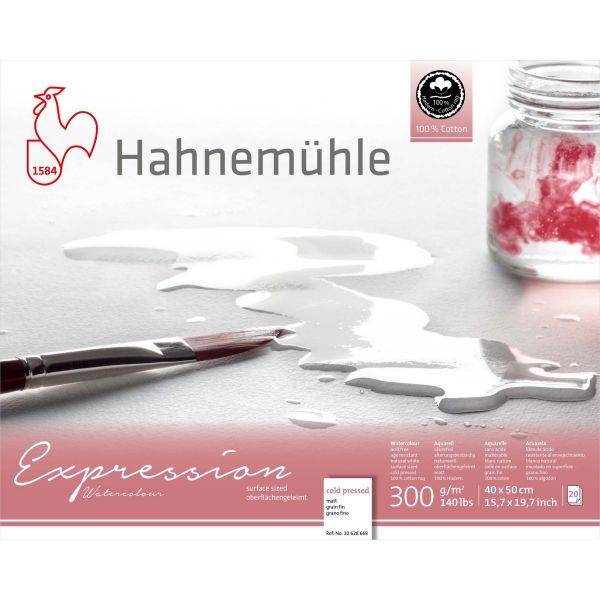 Альбом-склейка для акварели Hahnemuhle "Expression" 40х50 см с/з 20 л 300 г 100% хлопок